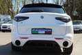 Alfa Romeo Stelvio Tributo Italiano 2,2 16V 210 AT8 Q4 Weiß - thumbnail 6