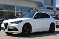Alfa Romeo Stelvio Tributo Italiano 2,2 16V 210 AT8 Q4 Weiß - thumbnail 1