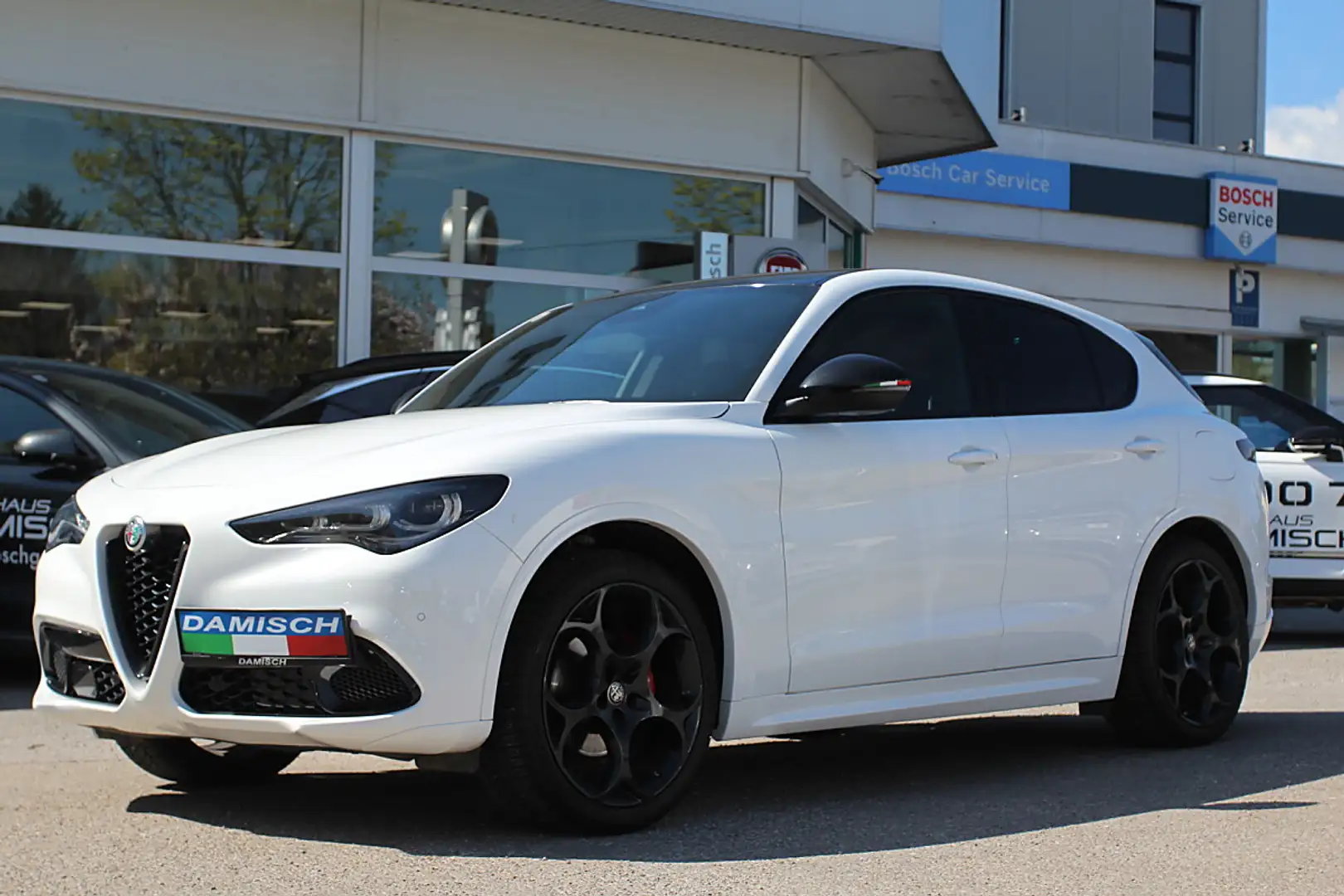 Alfa Romeo Stelvio Tributo Italiano 2,2 16V 210 AT8 Q4 Weiß - 1