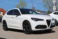 Alfa Romeo Stelvio Tributo Italiano 2,2 16V 210 AT8 Q4 Weiß - thumbnail 3