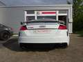 Audi TT RS 2.5 SPORT LED MATRIX CARBON B&O KAMERA 20" Bianco - thumbnail 6