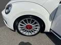 Volkswagen Beetle Sport Sky Weiß - thumbnail 12