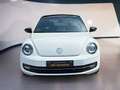 Volkswagen Beetle Sport Sky Weiß - thumbnail 8