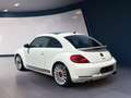 Volkswagen Beetle Sport Sky Weiß - thumbnail 3