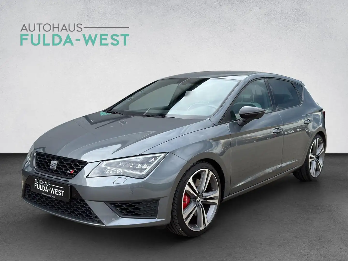 SEAT Leon 2.0TSI Cupra LED Navi Kamera Alu19" Sitzhzg Gris - 1