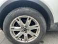 Land Rover Range Rover Evoque eD4 Dynamic - thumbnail 8
