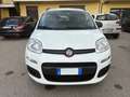 Fiat Panda Benzina/GPL Blanc - thumbnail 1
