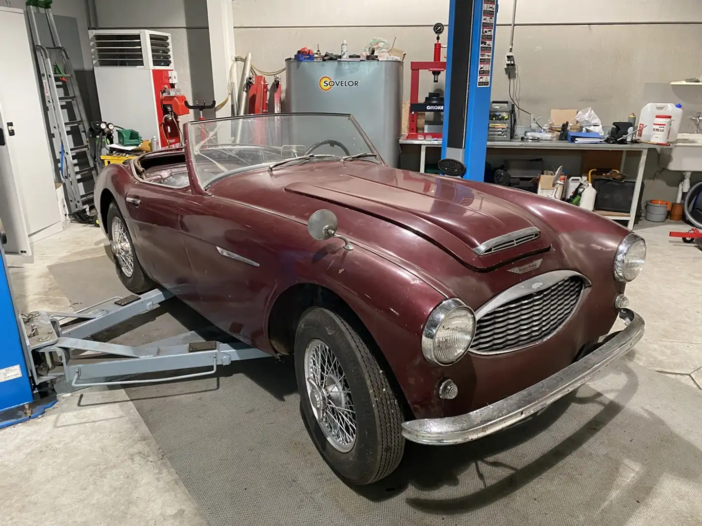 Austin-Healey 100 100-6 BN4 Rot - 2