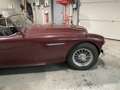 Austin-Healey 100 100-6 BN4 Rot - thumbnail 17
