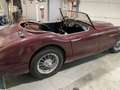 Austin-Healey 100 100-6 BN4 Rot - thumbnail 16