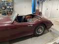 Austin-Healey 100 100-6 BN4 Rot - thumbnail 6