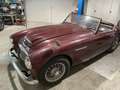Austin-Healey 100 100-6 BN4 Rot - thumbnail 5