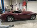 Austin-Healey 100 100-6 BN4 Rot - thumbnail 3