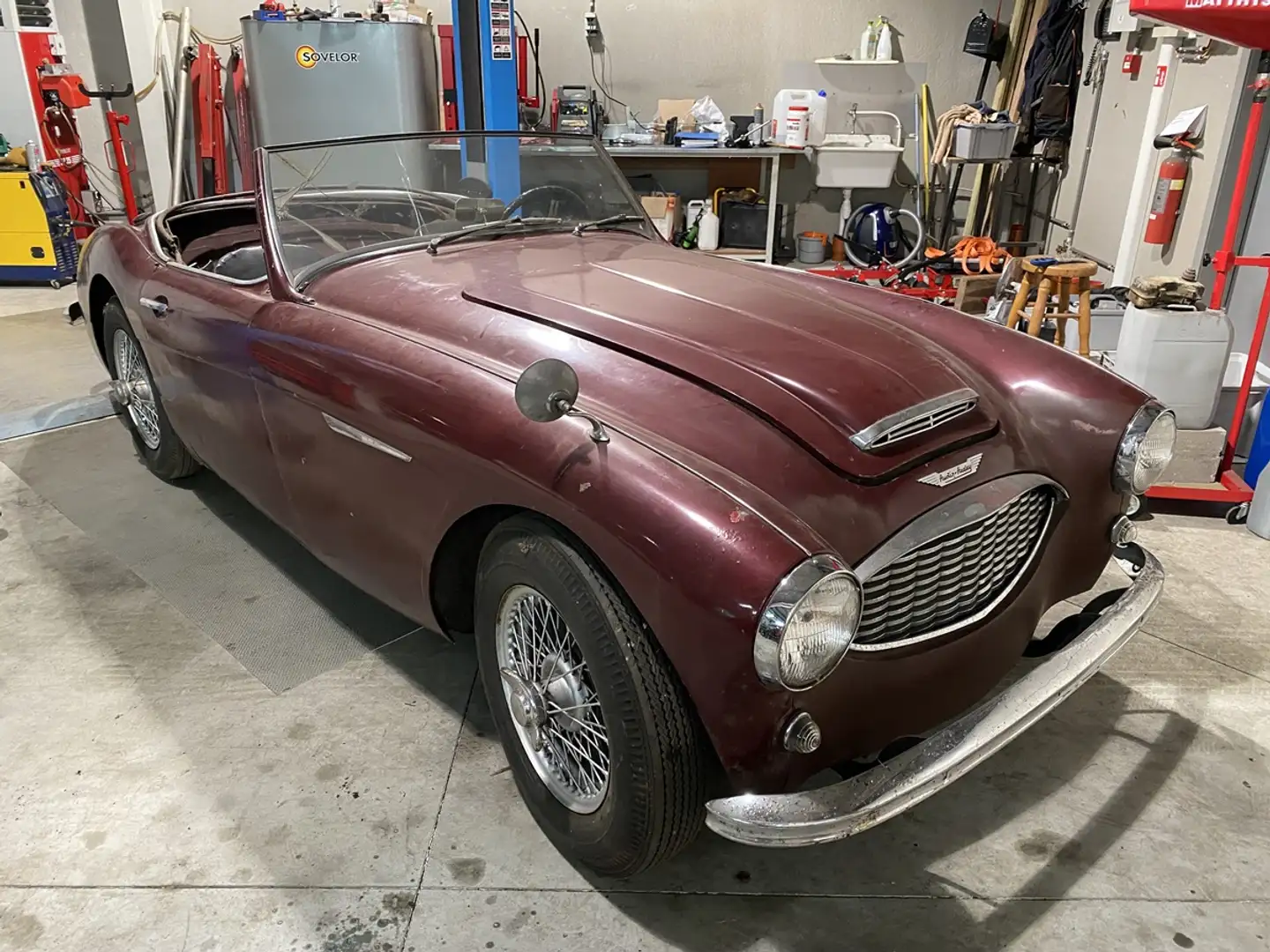 Austin-Healey 100 100-6 BN4 Rot - 1