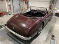 Austin-Healey 100 100-6 BN4 Rot - thumbnail 4
