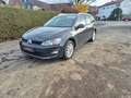 Volkswagen Golf VII Variant Lounge BMT 4Motion Grijs - thumbnail 1