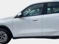 BMW iX1 xDrive30 DAB LED RFK Parkassistent Shz PDC Blanc - thumbnail 17