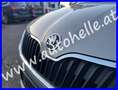Skoda Rapid/Spaceback Elegane Grün - thumbnail 8