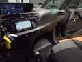 Citroen C4 Picasso 1.6 bluehdi Shine s&s 120cv Gris - thumbnail 10