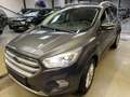 Ford Kuga 1.5 EcoBoost ECO FWD Business Cl. (EU6.2 Gris - thumbnail 2