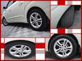 SsangYong Rodius 2.2 Aut / 71 Tkm / 7 Sitze / Shzg / PDC Alb - thumbnail 17