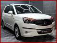 SsangYong Rodius 2.2 Aut / 71 Tkm / 7 Sitze / Shzg / PDC Alb - thumbnail 4