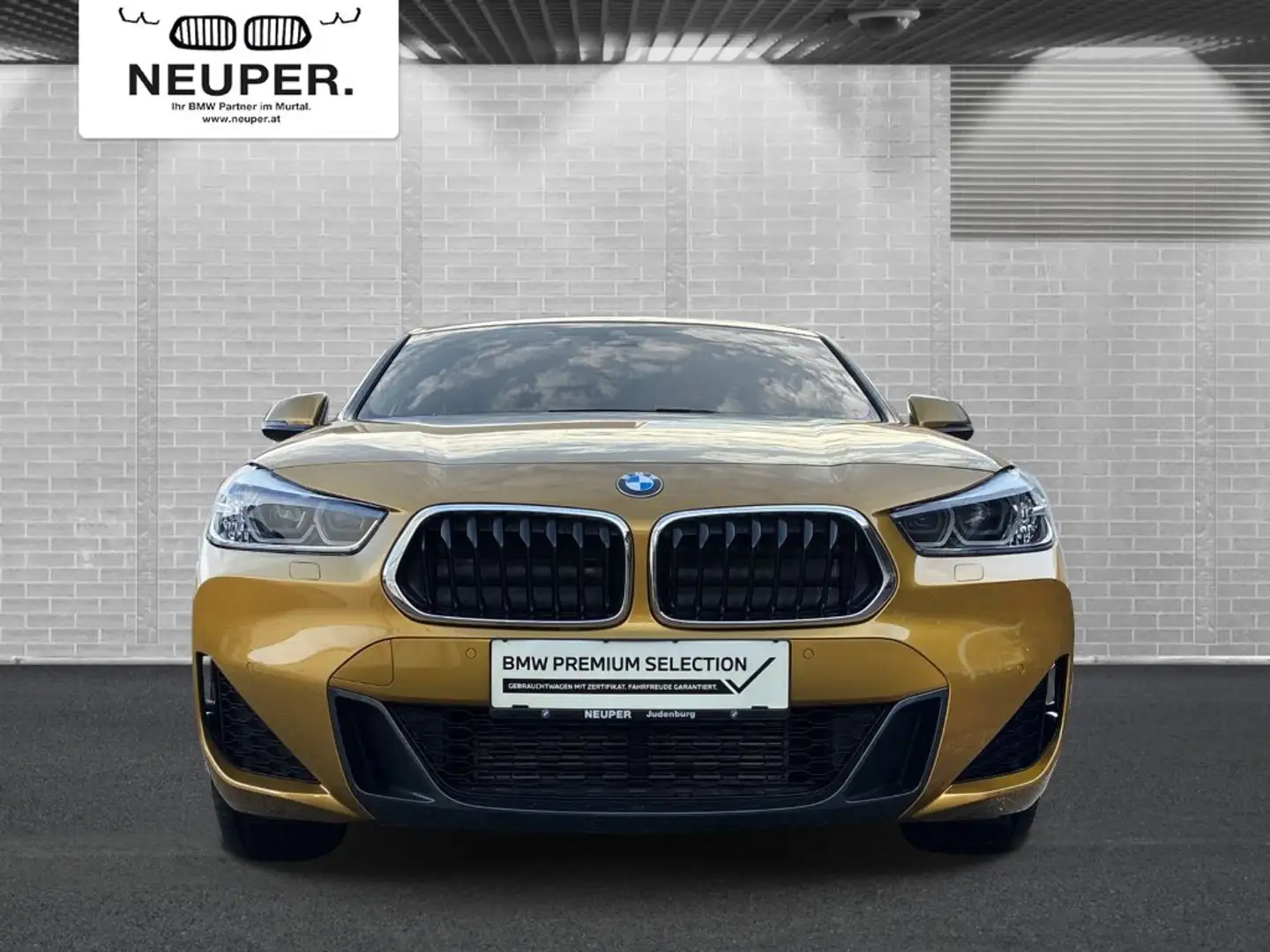 BMW X2 X2 xDrive18d Or - 2