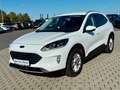 Ford Kuga Plug-In Hybrid Titanium AHK  ACC 1.Hand ! Weiß - thumbnail 3