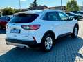 Ford Kuga Plug-In Hybrid Titanium AHK  ACC 1.Hand ! Weiß - thumbnail 8