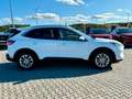 Ford Kuga Plug-In Hybrid Titanium AHK  ACC 1.Hand ! Weiß - thumbnail 9