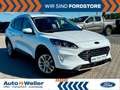 Ford Kuga Plug-In Hybrid Titanium AHK  ACC 1.Hand ! Weiß - thumbnail 1