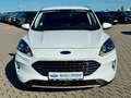 Ford Kuga Plug-In Hybrid Titanium AHK  ACC 1.Hand ! Weiß - thumbnail 10