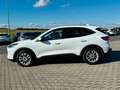 Ford Kuga Plug-In Hybrid Titanium AHK  ACC 1.Hand ! Weiß - thumbnail 4