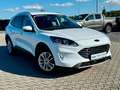 Ford Kuga Plug-In Hybrid Titanium AHK  ACC 1.Hand ! Weiß - thumbnail 2