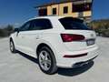 Audi Q5 35 2.0 tdi S line Plus quattro 163cv s-tronic my20 Weiß - thumbnail 4