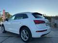 Audi Q5 35 2.0 tdi S line Plus quattro 163cv s-tronic my20 Weiß - thumbnail 6