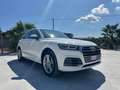 Audi Q5 35 2.0 tdi S line Plus quattro 163cv s-tronic my20 Weiß - thumbnail 1