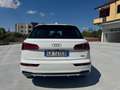 Audi Q5 35 2.0 tdi S line Plus quattro 163cv s-tronic my20 Weiß - thumbnail 5