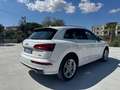 Audi Q5 35 2.0 tdi S line Plus quattro 163cv s-tronic my20 Weiß - thumbnail 3
