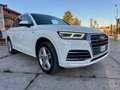 Audi Q5 35 2.0 tdi S line Plus quattro 163cv s-tronic my20 Weiß - thumbnail 7