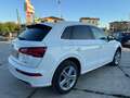 Audi Q5 35 2.0 tdi S line Plus quattro 163cv s-tronic my20 Weiß - thumbnail 8