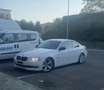 BMW 320 320d Coupe Attiva 184cv Bianco - thumbnail 7