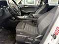 Ford S-Max S-MAX Trend 2.0 EcoBlue SCR Aut. Weiß - thumbnail 11
