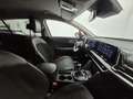 Kia Sportage 1.6 T-GDi MHEV Tech 150 Rojo - thumbnail 19