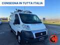 Fiat Ducato 2.3 MJT 130(PC-TN L1H1)OFFICINA MOBILE-PORTAPACCHI Bianco - thumbnail 4