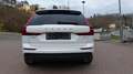 Volvo XC60 *4WD*SHZ*Aut.*Leder*Navi*LED*Pano Weiß - thumbnail 6