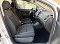 Volkswagen Golf Plus Golf Plus 1.6TDI Advance DSG Advance Blanco - thumbnail 6