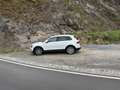 Volkswagen Tiguan 1.4 TSI ACT Highl. Wit - thumbnail 3