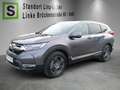 Honda CR-V CR-V Executive 2,0 i-VTEC Hybrid 4WD Gris - thumbnail 1