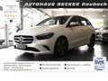 Mercedes-Benz B 200 Progres.*Distronic*360° Kamera*el.Hecktüre Blanc - thumbnail 1